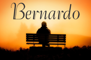 Bernardo Family: A Versatile Display Typeface for Modern Editorial Design