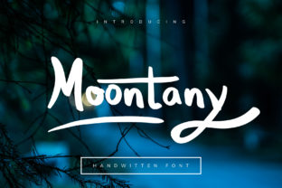 Moontany Display Font for Campaign Design